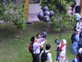 Tn 290 DSC 0366